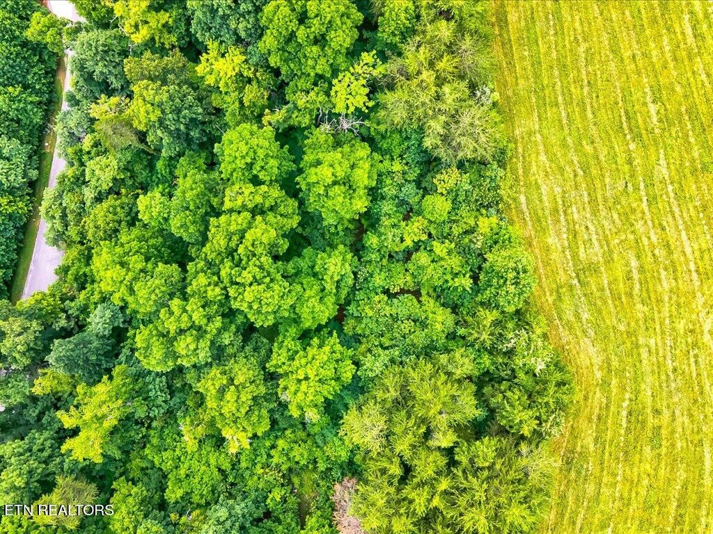 Photo of 453 Silver Tr, New Tazewell, TN 37825 (MLS # 1255161)