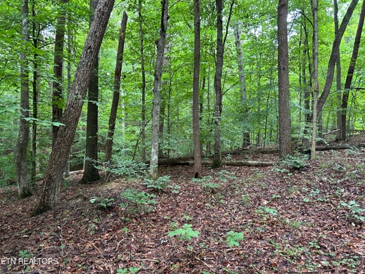 223 W SNOWFLAKE RD, SURGOINSVILLE, TN 37873 - Image 5ea3db3808e7e41ca2e168621b9d3601/1357593736