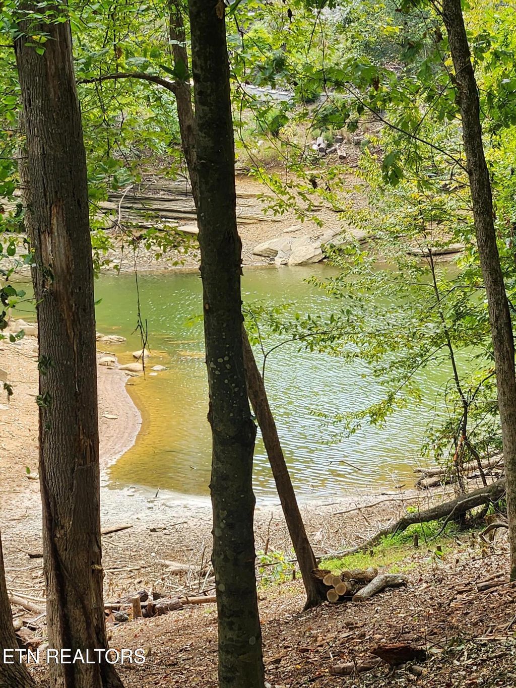 Photo of 1515 Catoosa Drive, Mooresburg, TN 37811 (MLS # 1316052)