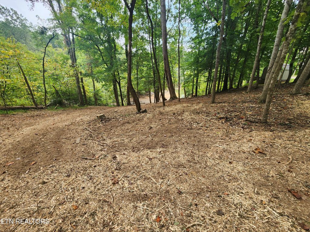 Photo of 1515 Catoosa Drive, Mooresburg, TN 37811 (MLS # 1316052)