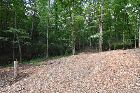 Tiny photo for 0 Early Rd #2, Knoxville, TN 37922 (MLS # 1337824)