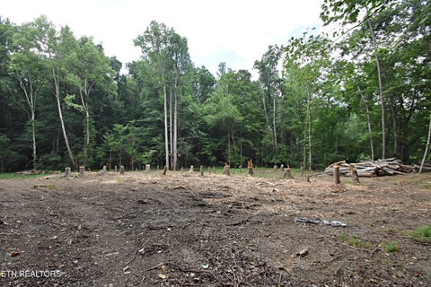 Tiny photo for 0 Early Rd #2, Knoxville, TN 37922 (MLS # 1337824)
