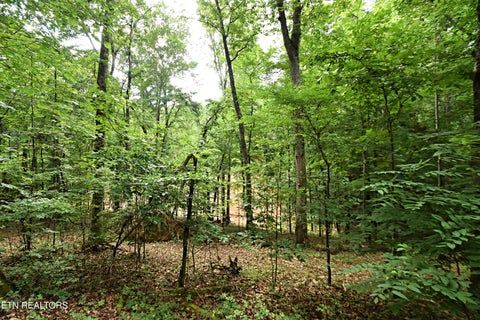 Tiny photo for 0 Early Rd #2, Knoxville, TN 37922 (MLS # 1337824)