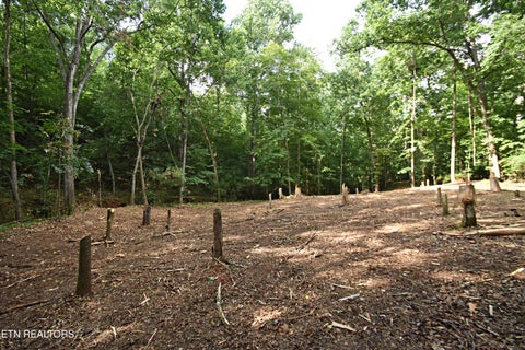 Tiny photo for 0 Early Rd #2, Knoxville, TN 37922 (MLS # 1337824)