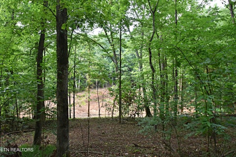 Tiny photo for 0 Early Rd #2, Knoxville, TN 37922 (MLS # 1337824)