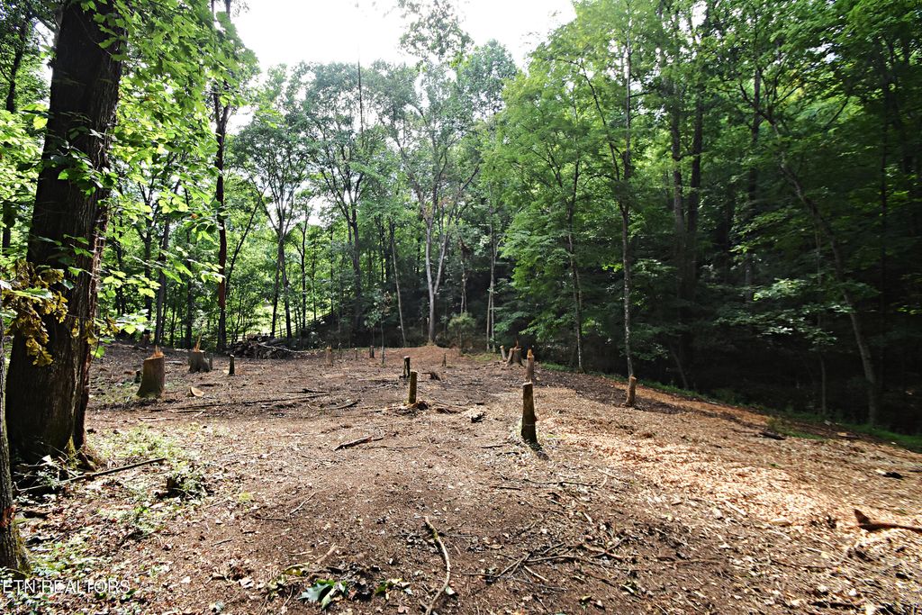 Photo of 0 Early Rd #2, Knoxville, TN 37922 (MLS # 1337824)