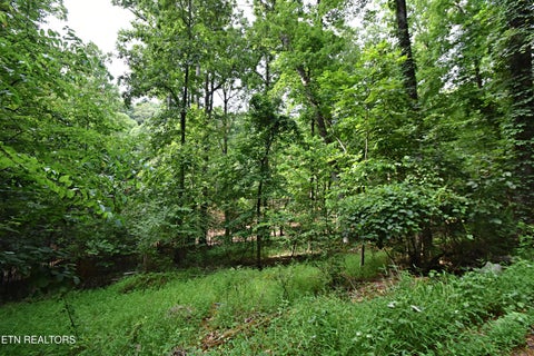 Tiny photo for 0 Early Rd #2, Knoxville, TN 37922 (MLS # 1337824)