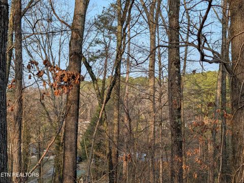 Tiny photo for 0 Pine Breeze Circle, Rockwood, TN 37854 (MLS # 1330119)