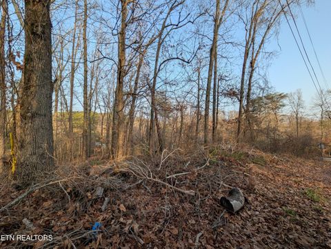 Tiny photo for 0 Pine Breeze Circle, Rockwood, TN 37854 (MLS # 1330119)