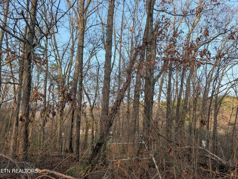 Tiny photo for 0 Pine Breeze Circle, Rockwood, TN 37854 (MLS # 1330119)