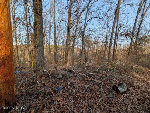 Tiny photo for 0 Pine Breeze Circle, Rockwood, TN 37854 (MLS # 1330119)