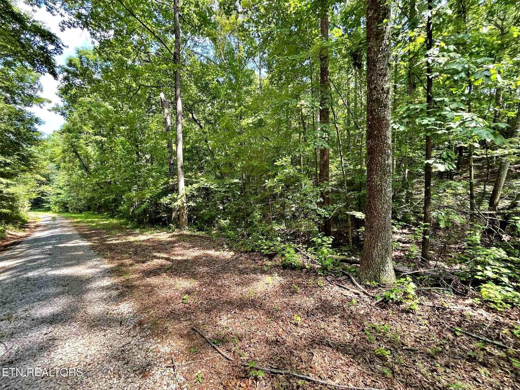Photo of 5 Raby Hollow Road, Kingston, TN 37763 (MLS # 1307500)