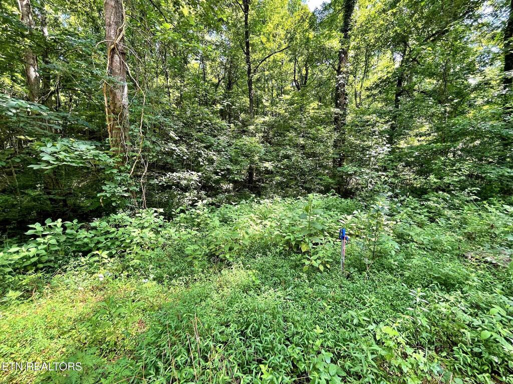 Photo of 6 Raby Hollow Road, Kingston, TN 37763 (MLS # 1307500)