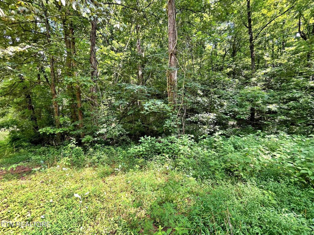 Photo of 6 Raby Hollow Road, Kingston, TN 37763 (MLS # 1307500)