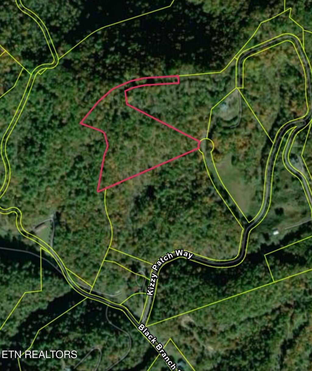 Photo of 000 Kizzy Patch Way, Del Rio, TN 37727 (MLS # 1341749)