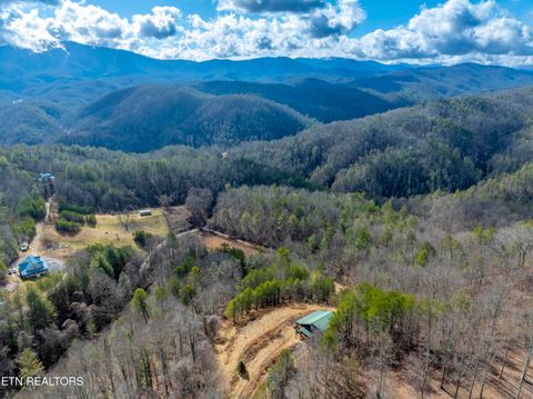 Photo of 000 Kizzy Patch Way, Del Rio, TN 37727 (MLS # 1341749)