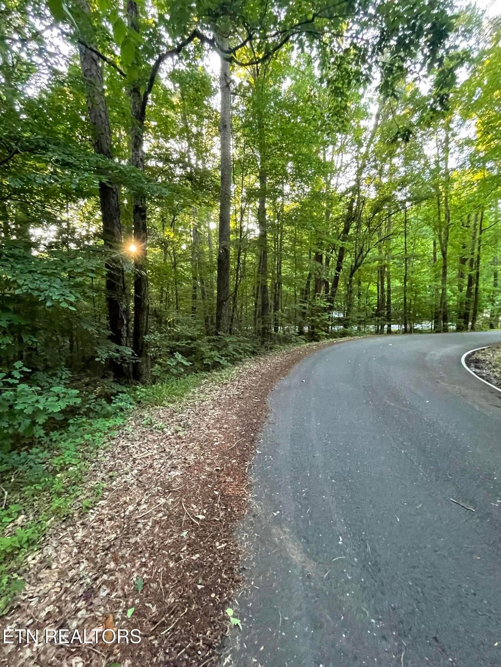 Photo of Gamble Lane, Walland, TN 37886 (MLS # 1302437)