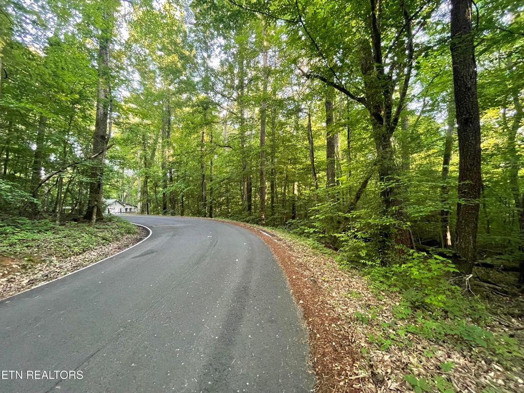 Photo of Gamble Lane, Walland, TN 37886 (MLS # 1302437)