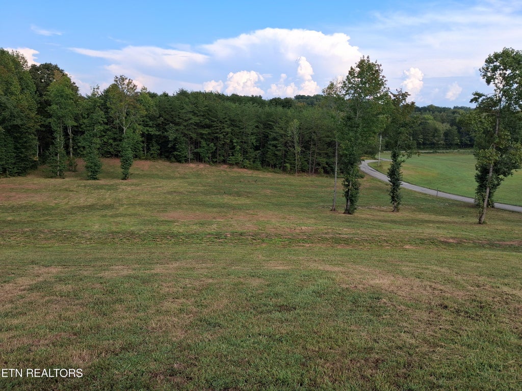 Photo of 130 Homestead Rd, Madisonville, TN 37354 (MLS # 1358826)