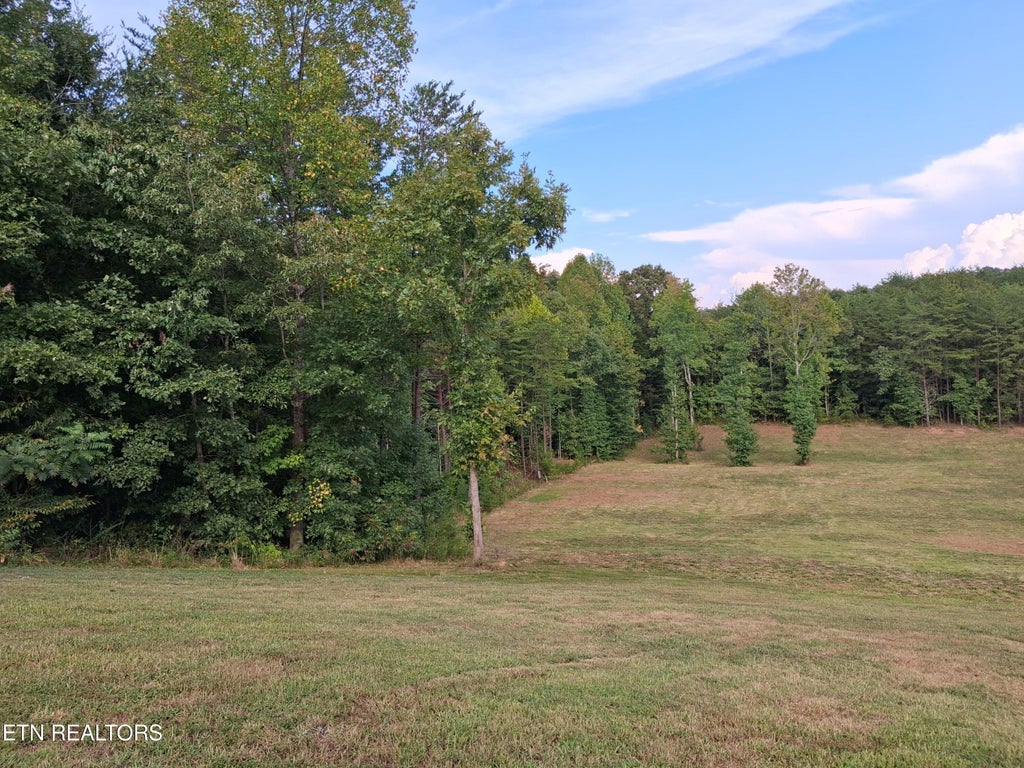 Photo of 130 Homestead Rd, Madisonville, TN 37354 (MLS # 1358826)