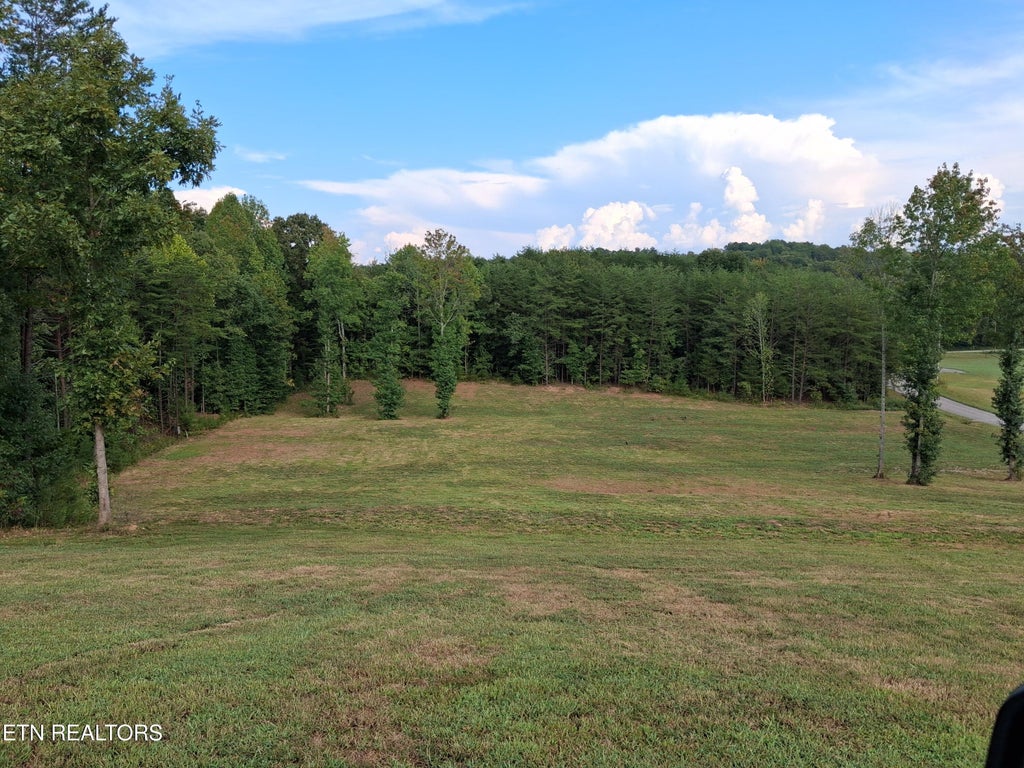 Photo of 130 Homestead Rd, Madisonville, TN 37354 (MLS # 1358826)