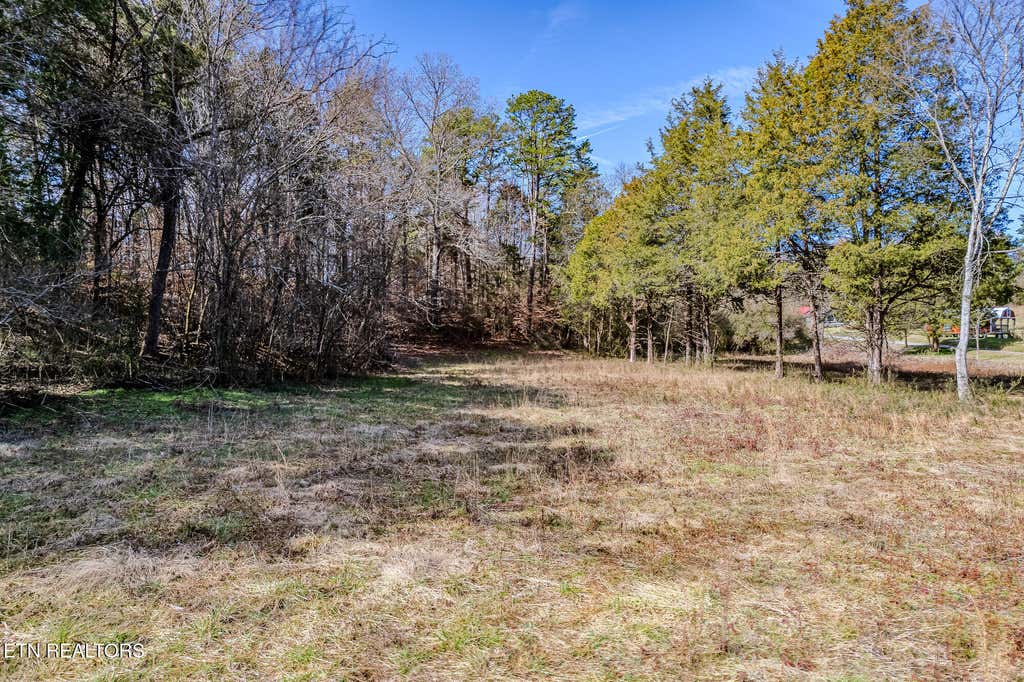 Photo of 16 Highway 58, Ten Mile, TN 37880 (MLS # 1289540)