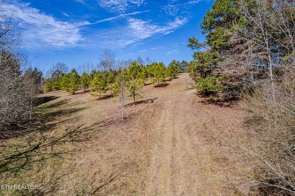 Photo of 16 Highway 58, Ten Mile, TN 37880 (MLS # 1289540)