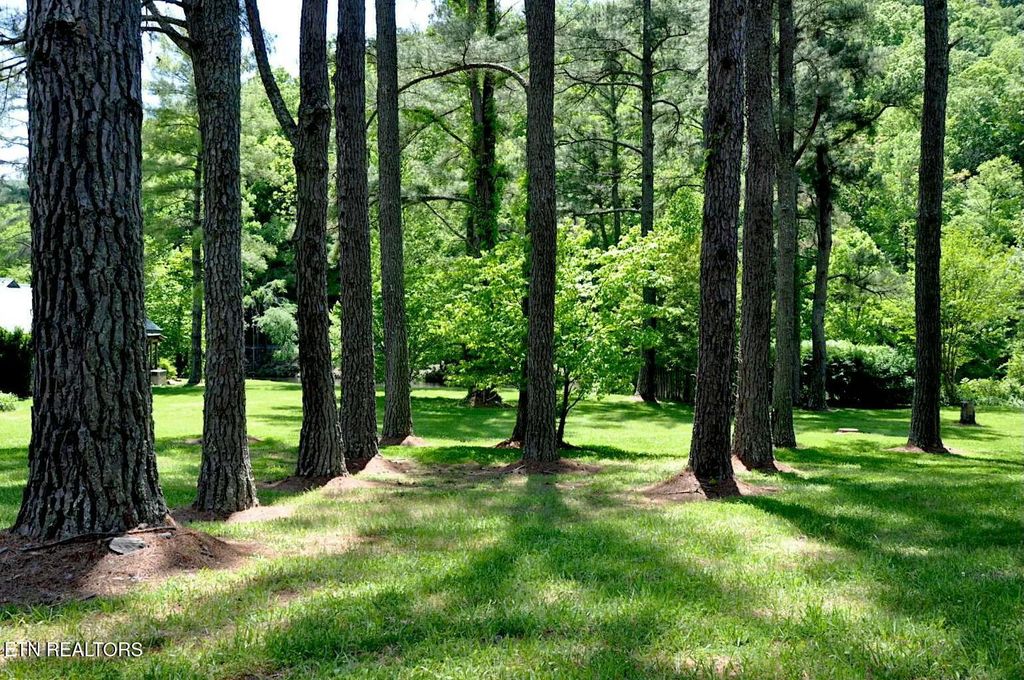 Photo of 220 Rafter Rd Rd, Tellico Plains, TN 37385 (MLS # 1286063)