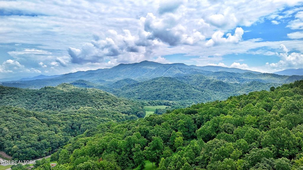 Photo of 45 S Highway 340, Parrottsville, TN 37843 (MLS # 1309844)