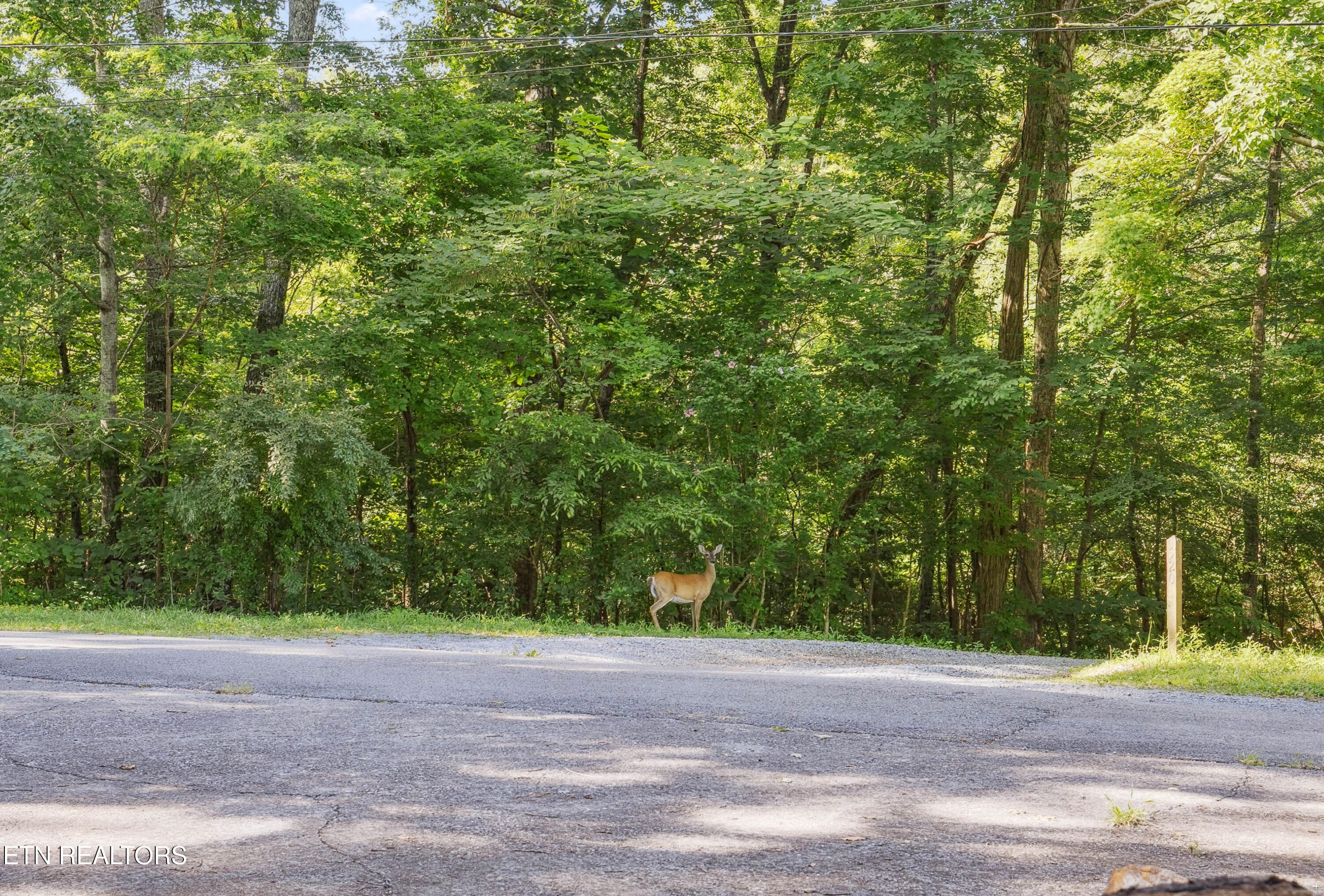 521 Laurel Lake Circle