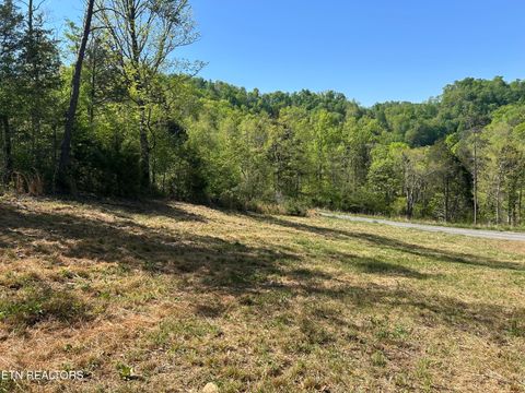 Photo of Long Hollow Rd, Sneedville, TN 37869 (MLS # 1338447)