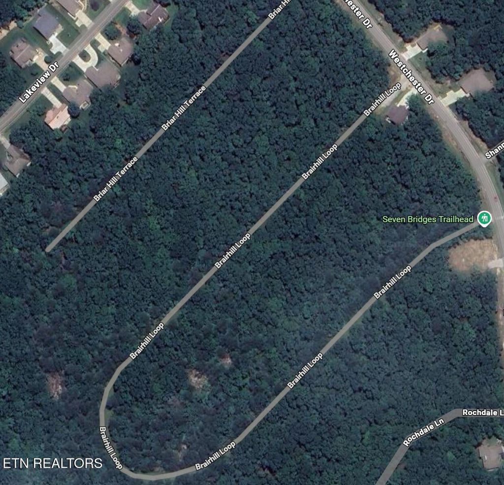 Photo of 119 Briarhill Loop, Crossville, TN 38558 (MLS # 1328365)