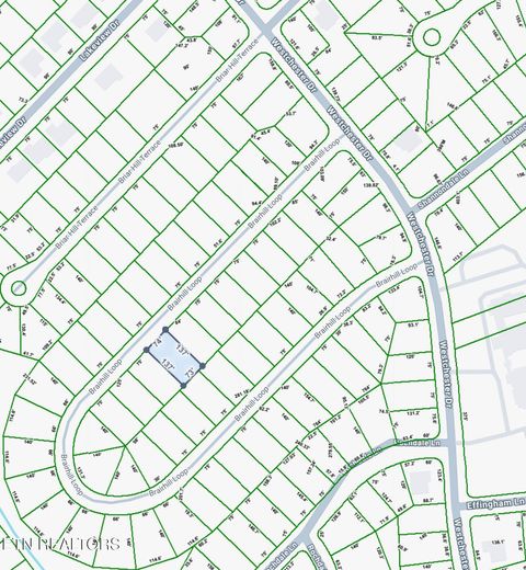 Photo of 119 Briarhill Loop, Crossville, TN 38558 (MLS # 1328365)