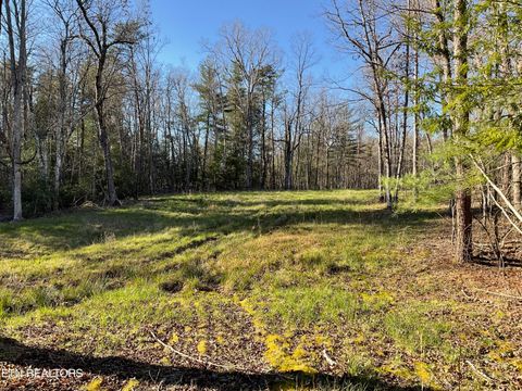 Photo of 2 Pine Breeze Drive, Monterey, TN 38574 (MLS # 1336559)