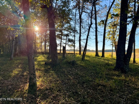 Tiny photo for Poke Patch Rd, Crossville, TN 38572 (MLS # 1359978)