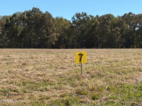 Tiny photo for Poke Patch Rd, Crossville, TN 38572 (MLS # 1359978)