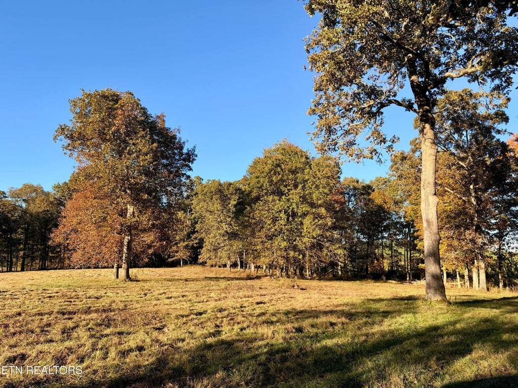 Photo of Poke Patch Rd, Crossville, TN 38572 (MLS # 1359978)