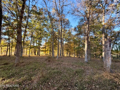 Tiny photo for Poke Patch Rd, Crossville, TN 38572 (MLS # 1359978)