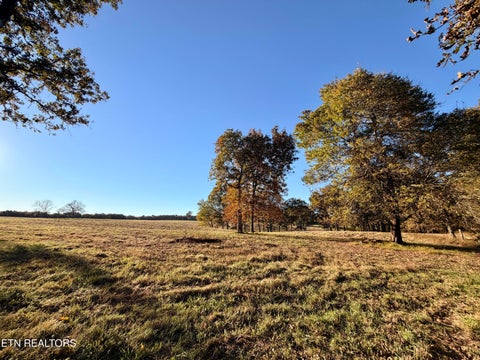 Tiny photo for Poke Patch Rd, Crossville, TN 38572 (MLS # 1359978)