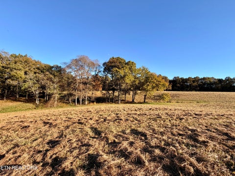 Tiny photo for Poke Patch Rd, Crossville, TN 38572 (MLS # 1359978)