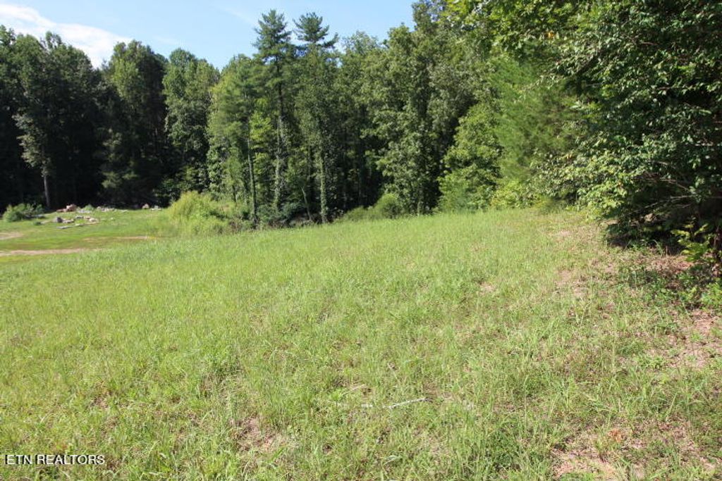 Photo of 519 Rudd Hollow Rd, Townsend, TN 37882 (MLS # 1238604)