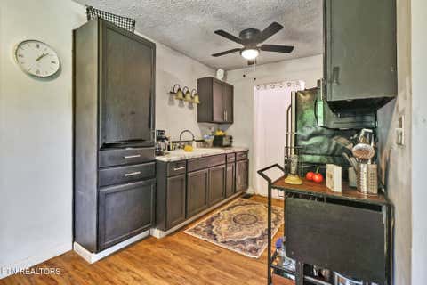 Tiny photo for 3225 W Wolf Valley Rd, Clinton, TN 37716 (MLS # 1312535)