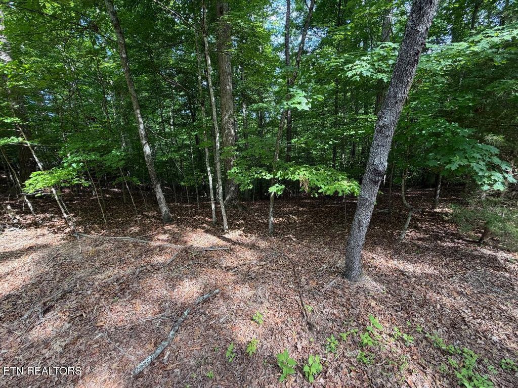 Photo of Beechwood Drive #003, Dandridge, TN 37725 (MLS # 1341718)