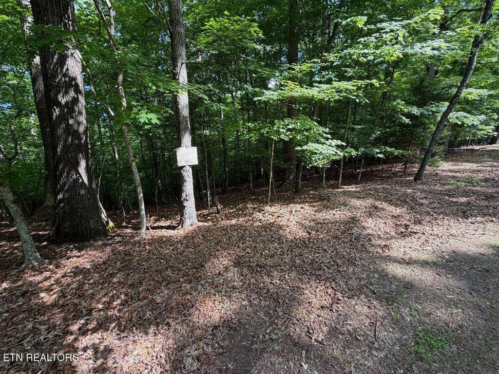 Photo of Beechwood Drive #003, Dandridge, TN 37725 (MLS # 1341718)