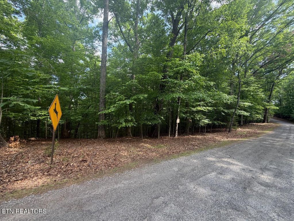 Photo of Beechwood Drive #003, Dandridge, TN 37725 (MLS # 1341718)