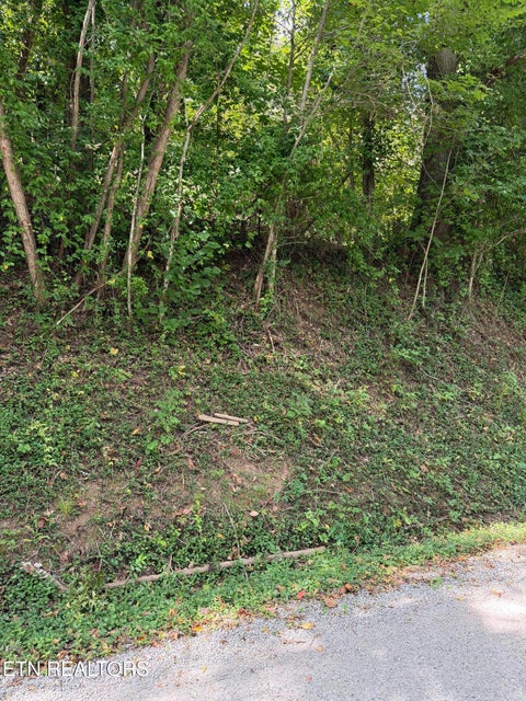 Tiny photo for 9478 Old Highway 28, Pikeville, TN 37367 (MLS # 1355819)