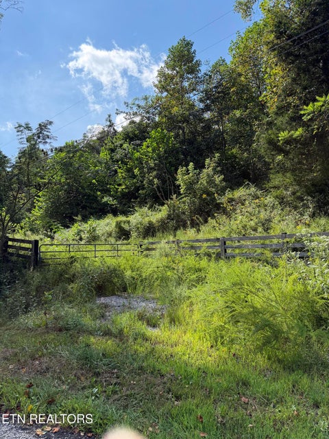 Photo of 9478 Old Highway 28, Pikeville, TN 37367 (MLS # 1355819)