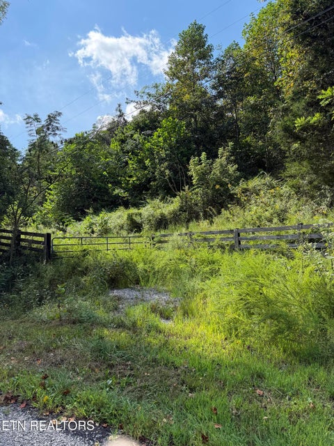 Tiny photo for 9478 Old Highway 28, Pikeville, TN 37367 (MLS # 1355819)