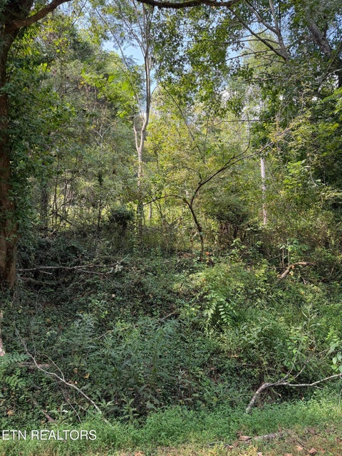 Tiny photo for 9478 Old Highway 28, Pikeville, TN 37367 (MLS # 1355819)