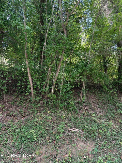 Tiny photo for 9478 Old Highway 28, Pikeville, TN 37367 (MLS # 1355819)